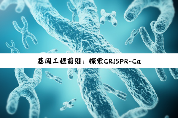 今日科普|开云网页版: 基因工程前沿：探索CRISPR-Cas9技术新突破与精准医疗的未来趋势