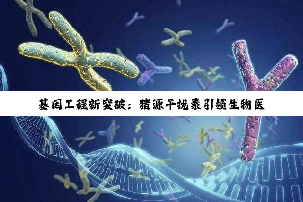 今日科普|开云网页版: 基因工程新突破：猪源干扰素引领生物医药抗病毒研究新热点