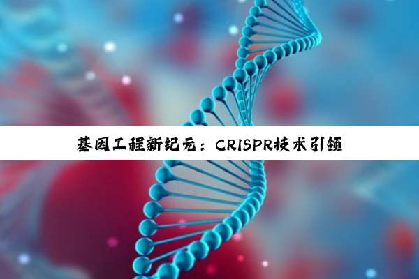 基因工程新纪元：CRISPR技术引领下的精准医疗与生物育种热点探索