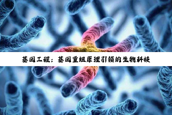 今日科普|开云网页版: 基因工程：基因重组原理引领的生物科技最新热点与未来趋势