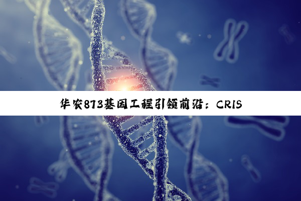 今日科普|华农873基因工程引领前沿：CRISPR技术、多组学与合成生物学的最新应用与展望