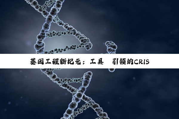 基因工程新纪元：工具酶引领的CRISPR技术与合成生物学热点