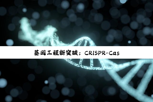 今日科普|基因工程新突破：CRISPR-Cas9技术引领下的通用CAR-T疗法研发与临床应用