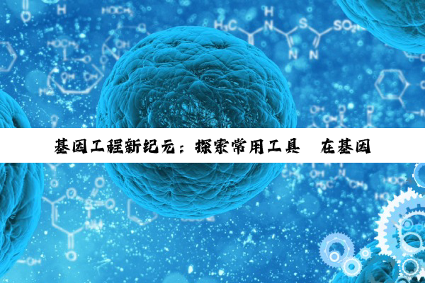基因工程新纪元：探索常用工具酶在基因编辑与合成生物学中的最新应用