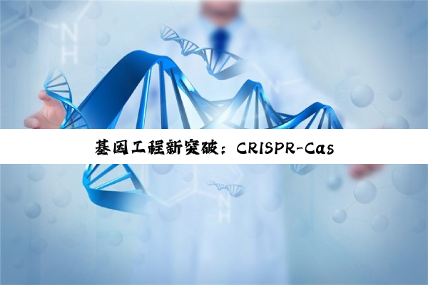 基因工程新突破：CRISPR-Cas9技术引领下的精准医疗与合成生物学前沿