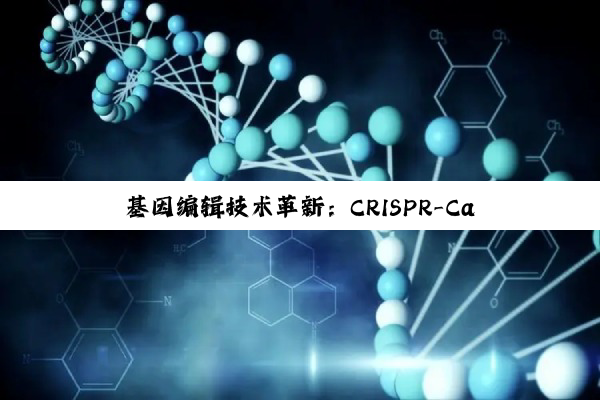 今日科普|基因编辑技术革新：CRISPR-Cas系统在基因工程练习题中的前沿应用与伦理考量