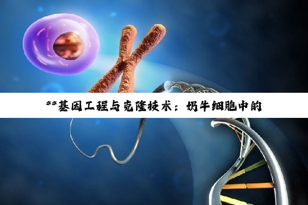 **基因工程与克隆技术：奶牛细胞中的生命科学革命与人类血清白蛋白生产新纪元**