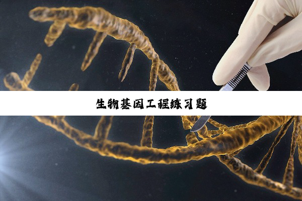 生物基因工程练习题