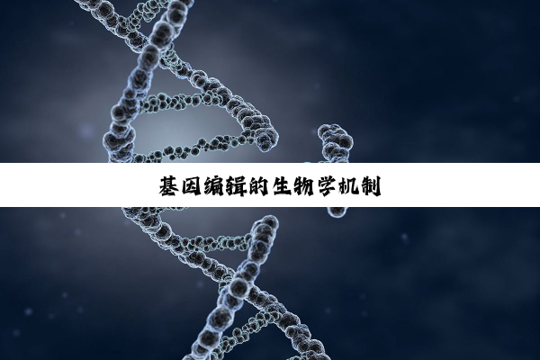 基因编辑的生物学机制