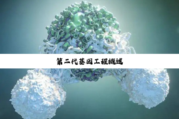 今日科普|第二代基因工程概述