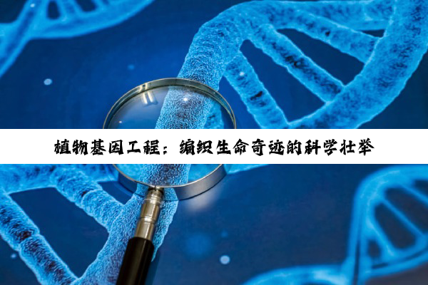 【科普解答】植物基因工程：编织生命奇迹的科学壮举