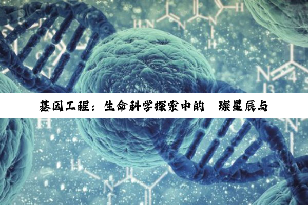 基因工程：生命科学探索中的璀璨星辰与未来之光