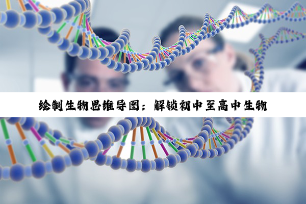 绘制生物思维导图：解锁初中至高中生物学习新境界的钥匙