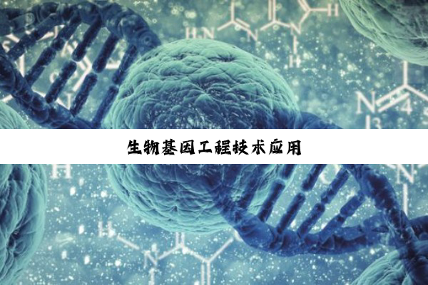 生物基因工程技术应用