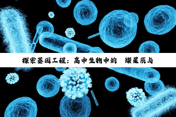 【科普解答】探索基因工程：高中生物中的璀璨星辰与未来挑战
