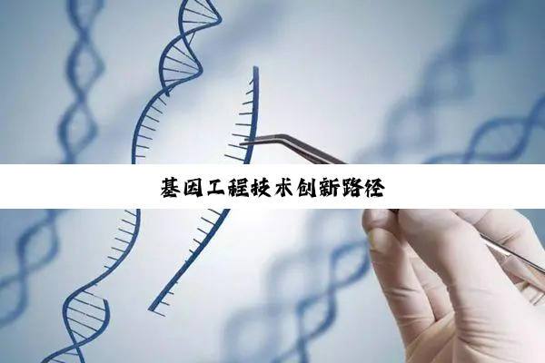 基因工程技术创新路径
