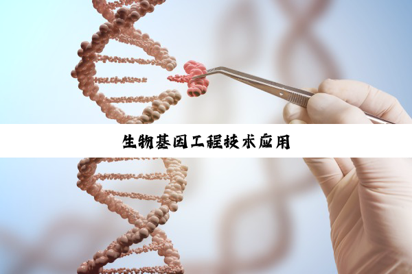 生物基因工程技术应用