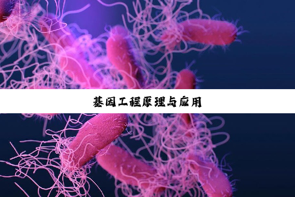 基因工程原理与应用