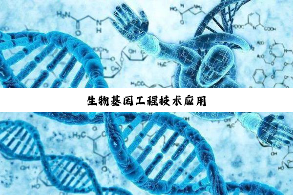 生物基因工程技术应用