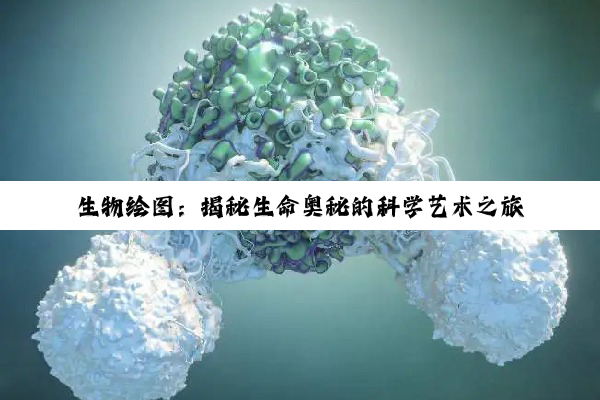 生物绘图：揭秘生命奥秘的科学艺术之旅
