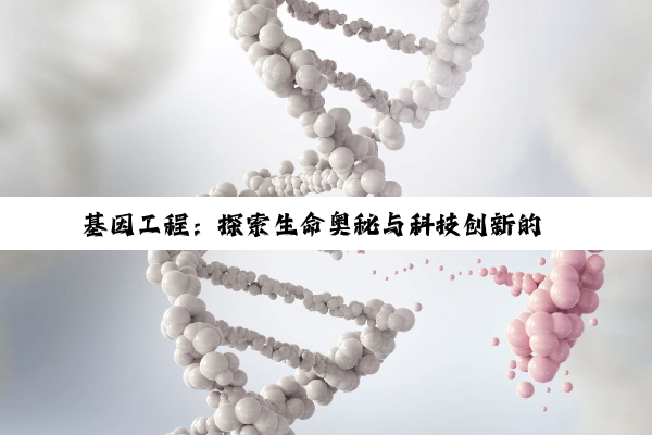 【科普解答】基因工程：探索生命奥秘与科技创新的璀璨融合