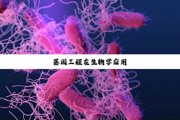 基因工程在生物学应用