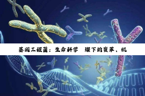 【科普解答】基因工程菌：生命科学璀璨下的变革、机遇与挑战