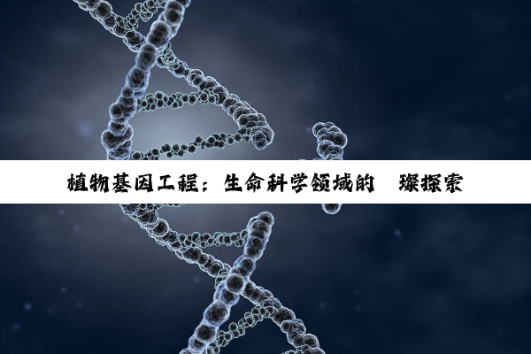 【科普解答】植物基因工程：生命科学领域的璀璨探索与未来希望