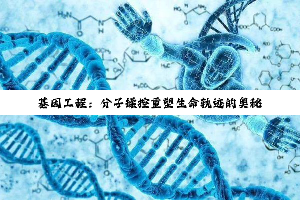 基因工程：分子操控重塑生命轨迹的奥秘