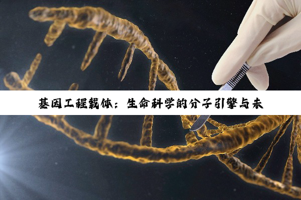 基因工程载体：生命科学的分子引擎与未来展望