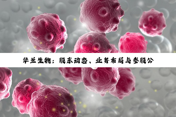 【今日要闻】华兰生物：股东动态、业务布局与参股公司增资的深度剖析