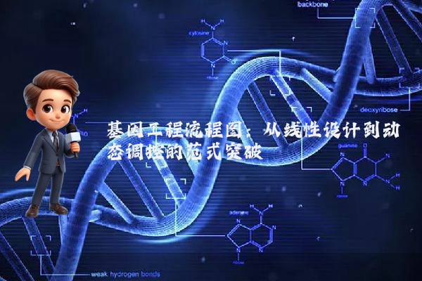 基因工程流程图：从线性设计到动态调控的范式突破